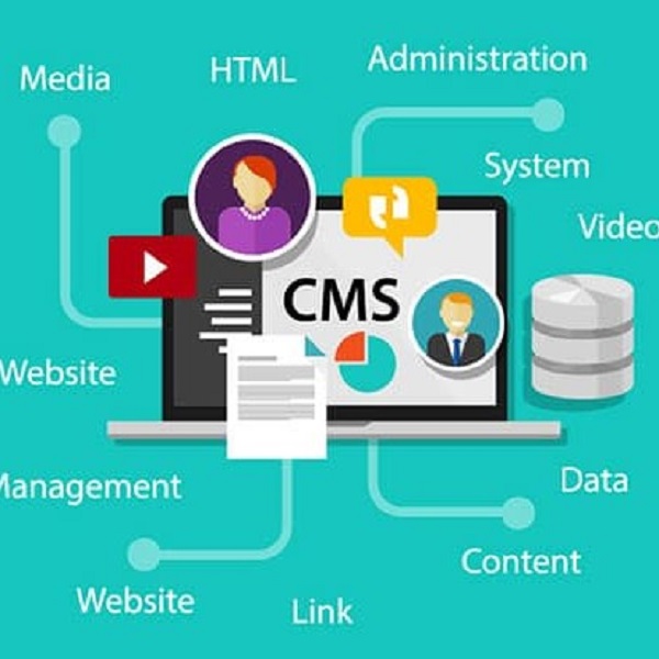 How to Choose a Content Management System for Your Website